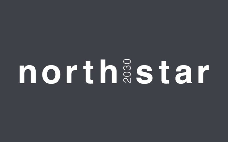 ROY ROBSON North Star 2030